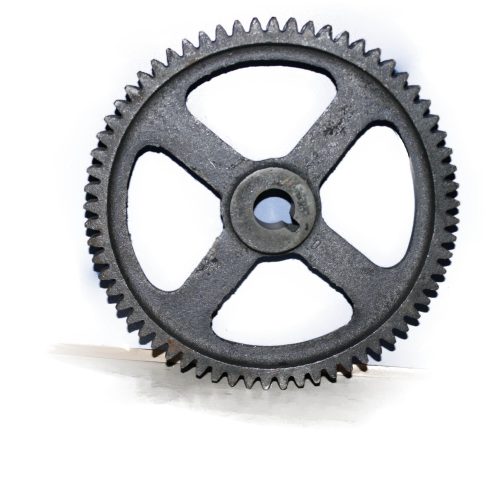 55x4-scaled-1.jpg